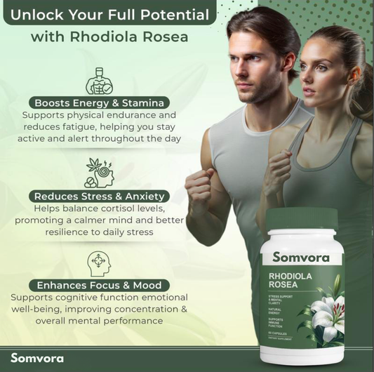 Rhodiola Rosea Extract for Stress, Energy & Focus - Natural Adaptogen [500mg]